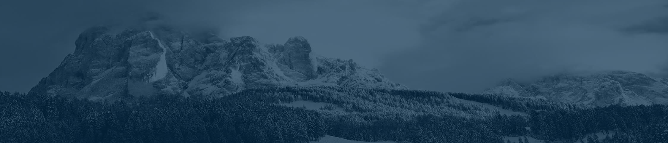 Prise de commande sur le terrain pour agents commerciaux